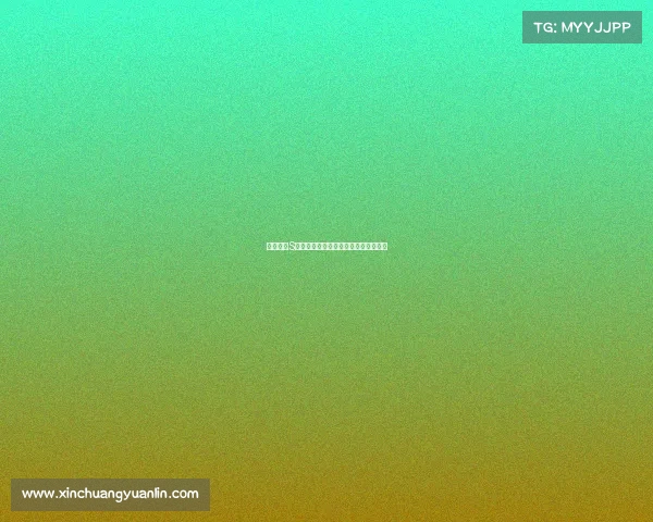 英雄联盟S赛粉丝应援活动全记录与精彩瞬间回顾