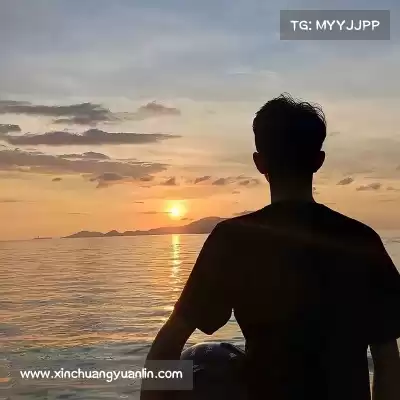 赖晨舒